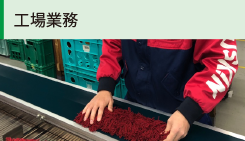 工場業務内容）